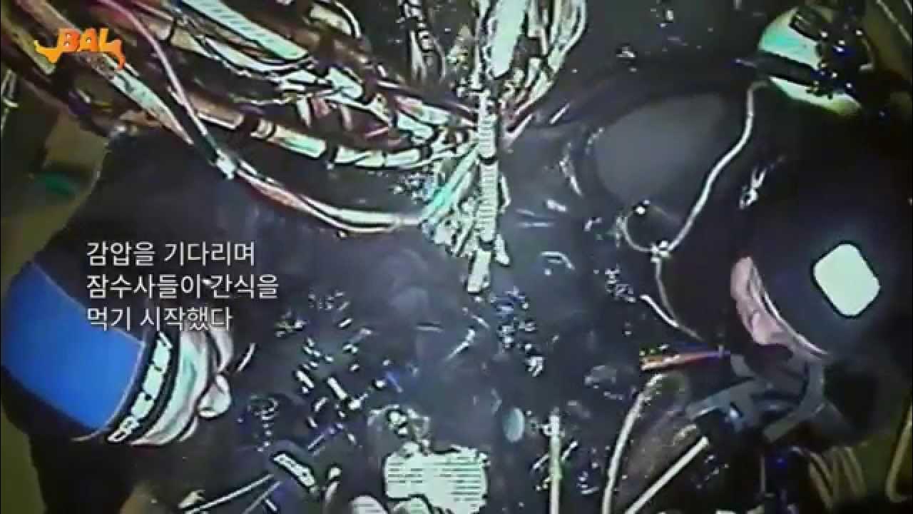 leesanghoC's tweet card. 다이빙벨 해외판(감독판) 무료 공개