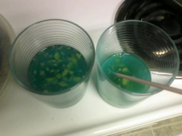 letEGO_go's tweet card. Sipping on #findingnemos! @theellenshow