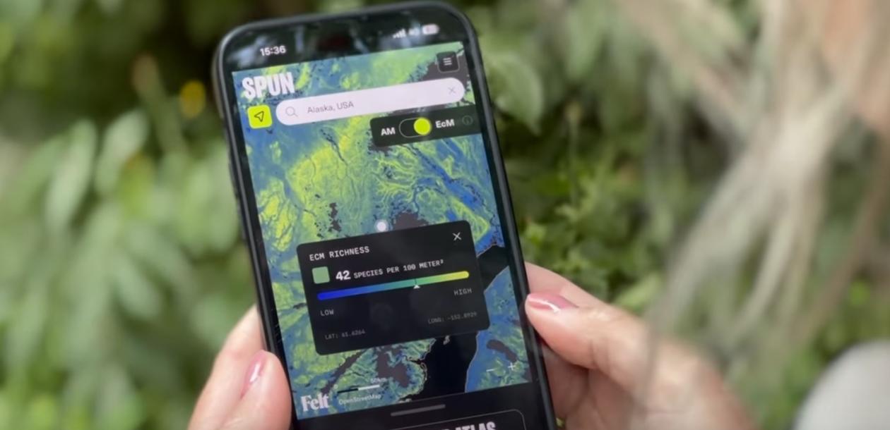 leblob_'s tweet card. C’est un grand pas pour la sauvegarde des écosystèmes ! On vient enfin de cartographier le réseau mondial de champignons, et c’est beaucoup plus important qu’il n’y parait. 