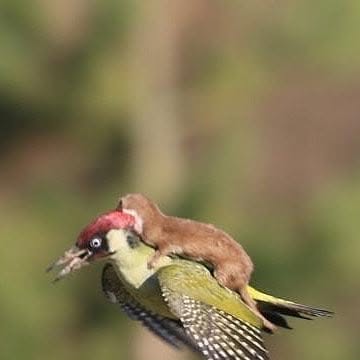 NobleblinksTech's tweet card. Nobleblinks Inc (@nobleblinksinc) • Instagram photo