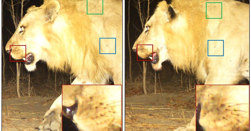 Tweet card summary image