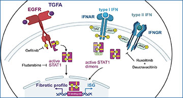 RNASeqBlog's tweet card. Reversing fibrosis - new research provides insight for novel therapies