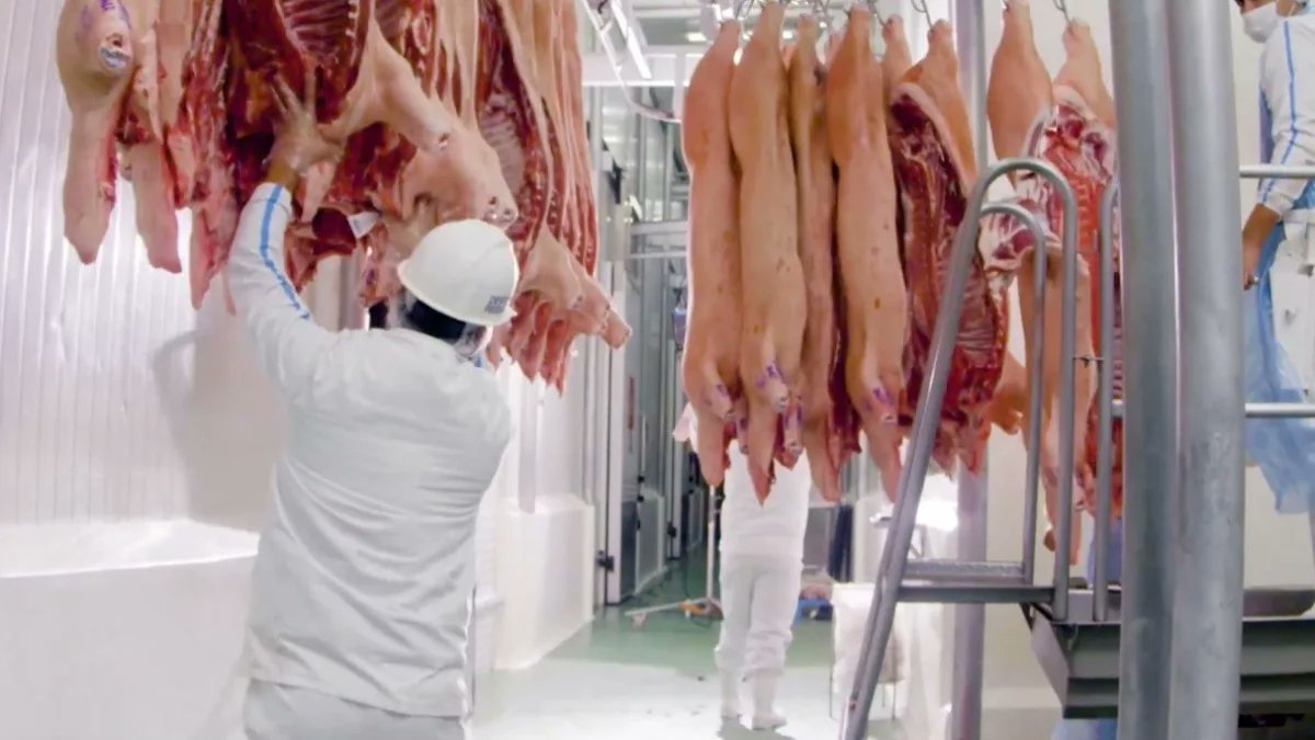 Capexpy's tweet card. (Por SR)  El 2025 se está consolidando como uno de los mejores años para la cadena porcina paraguaya. Cifras de exportación en alza, nuevos mercados premium y una demanda internacional firme ubican...