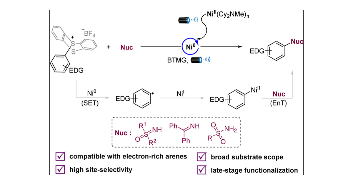 whongyu2's tweet card. Aryl sulfoximines have emerged as privileged motifs in drug discovery, offering a versatile alternative to sulfonamides and sulfones due to their unique physicochemical and pharmacological properti...
