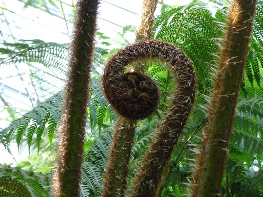 planetweaver's tweet card. On the night of May 9, 1993, I experienced a life-transforming insight into our society. I “saw” how our system is causing the “Monster Problems” we face — that is, impossible-to-solve, urgent issues...