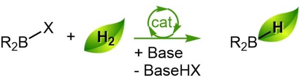 angew_chem's tweet card. The synthesis of hydroboranes is reported from dihydrogen (H2) and haloboranes, using a base to trap the released acid, under both stoichiometric and catalytic conditions. The system is applicable...