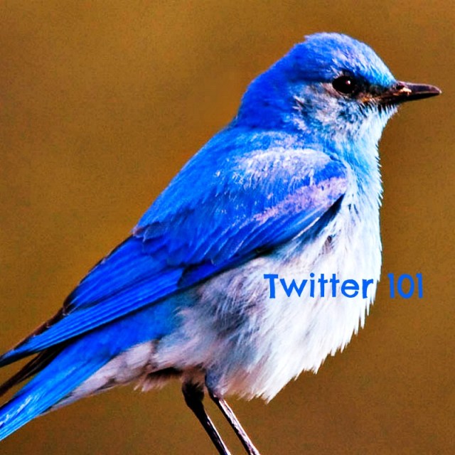 DCProjectZero's tweet card. Yesterday I was facilitating a Twitter 101 Session at edcampLA and a couple of teachers who were new to twitter asked for a Twitter 101 or Twitter for beginners blog post. We didn’t have acce…