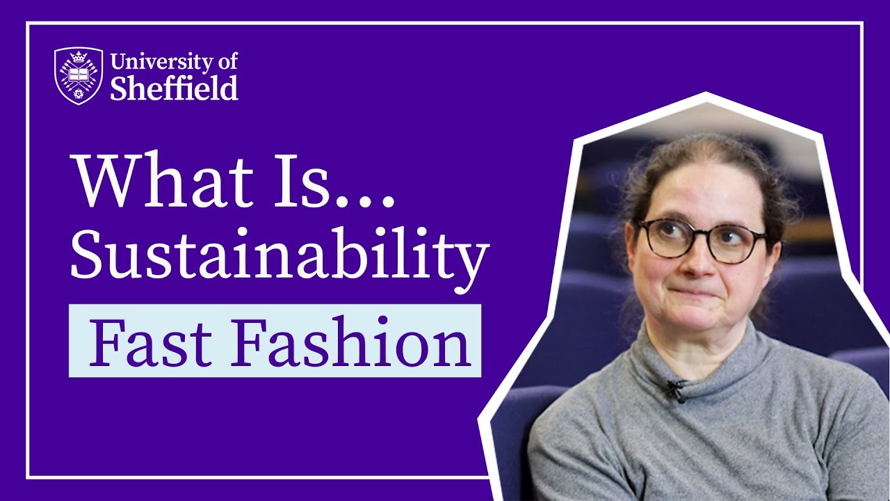 UniShefAH's tweet card. What Is... Sustainability? - Fast Fashion