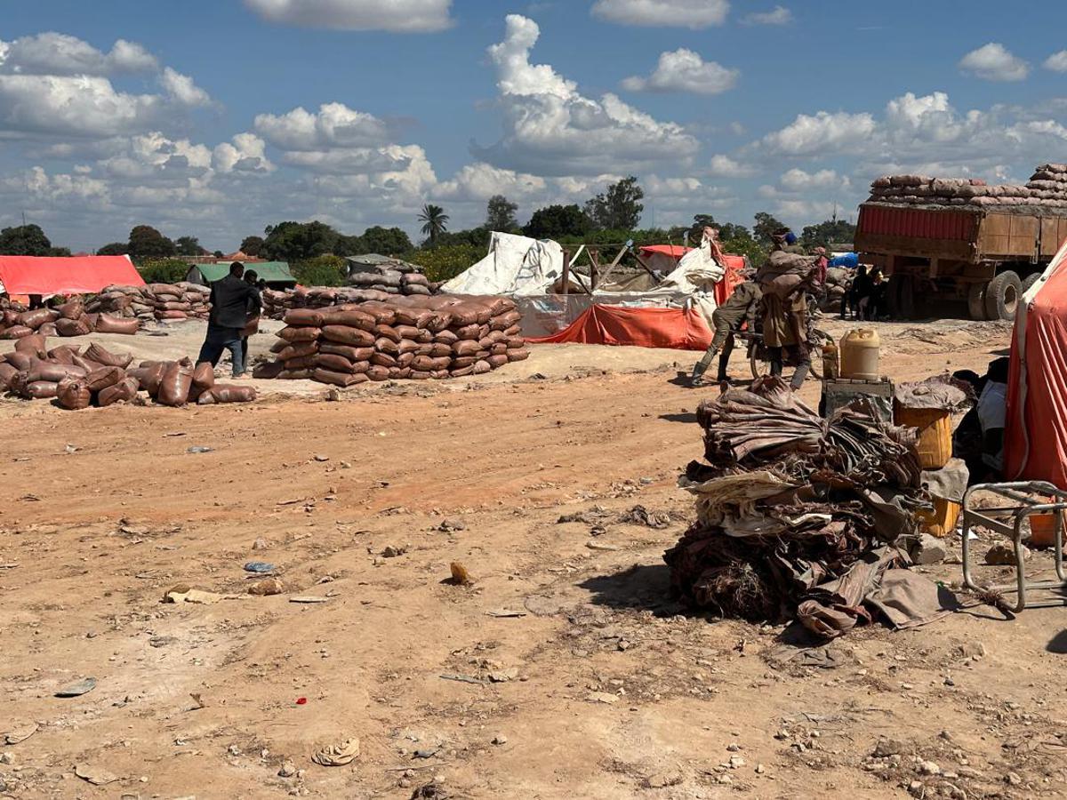Congoquotidien's tweet card. Tragédie minière au Lualaba : l'effondrement d'un pont de fortune à Kawama a coûté la vie à plusieurs creuseurs artisanaux. Le ministre des Mines Willy Wantum promet des sanctions exemplaires contre...