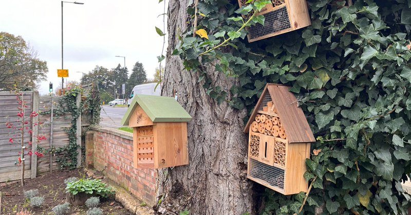 Tweet card summary image