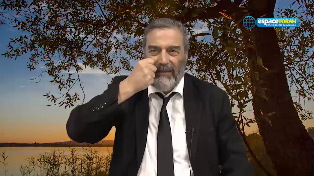 neuralinkhon's tweet card. Le rapport des non juifs aux mitsvot - Rav Sadin