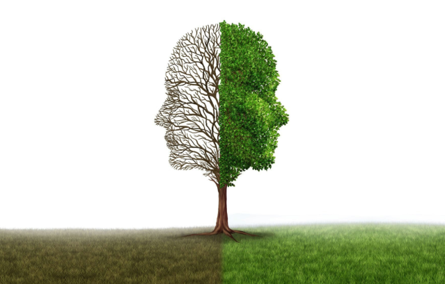 retroprogres's tweet card. Energia i escalfament planetari Ja sabem que el que provoca l’escalfament del planeta és cremar combustibles fòssils, però malgrat tot no som capaços de reconèixer que l’única solució per aturar o …