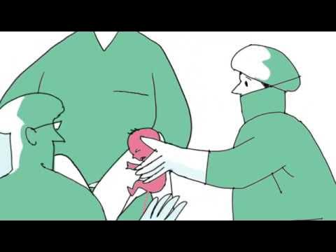 psyche_ar's tweet card. THE CORD