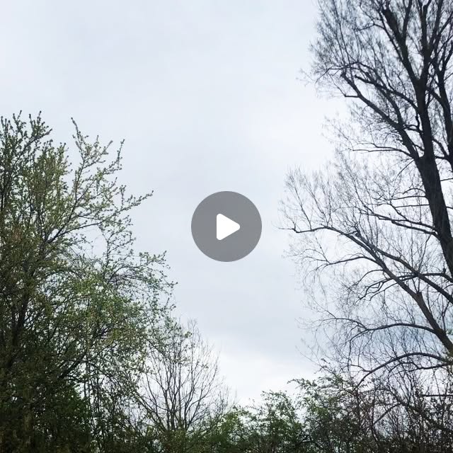 limaecho236's tweet card. Eugen (@limaecho236) • Instagram video