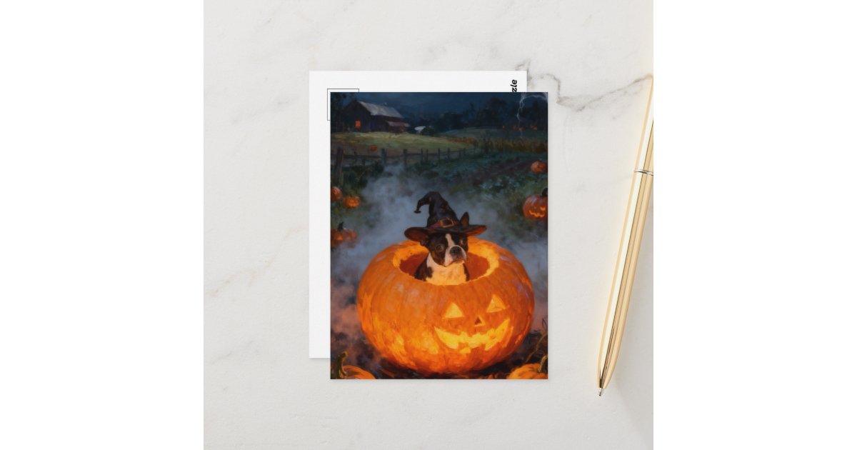 angelandspot's tweet card. An adorable Halloween Boston Terrier