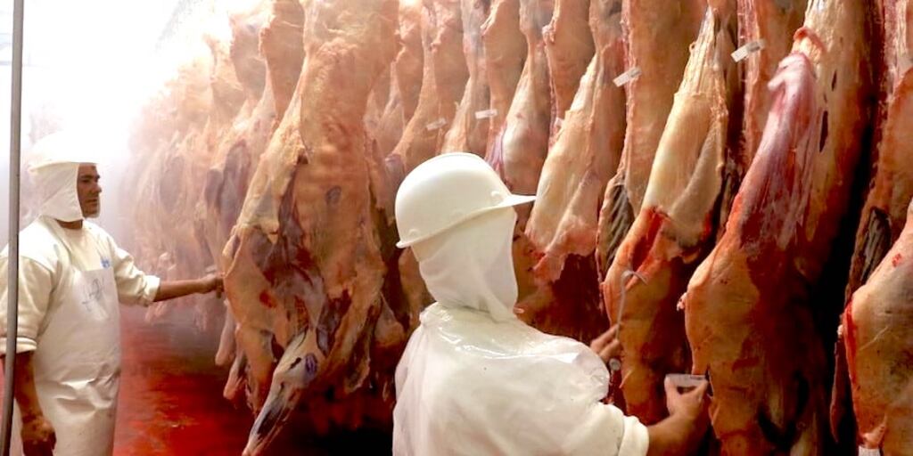 Capexpy's tweet card. Paraguay se mantiene entre los 10 mayores exportadores de carne bovina, por encima de Uruguay, según los informes del Departamento de Agricultura de Estados Unidos (USDA), por sus siglas en inglés....