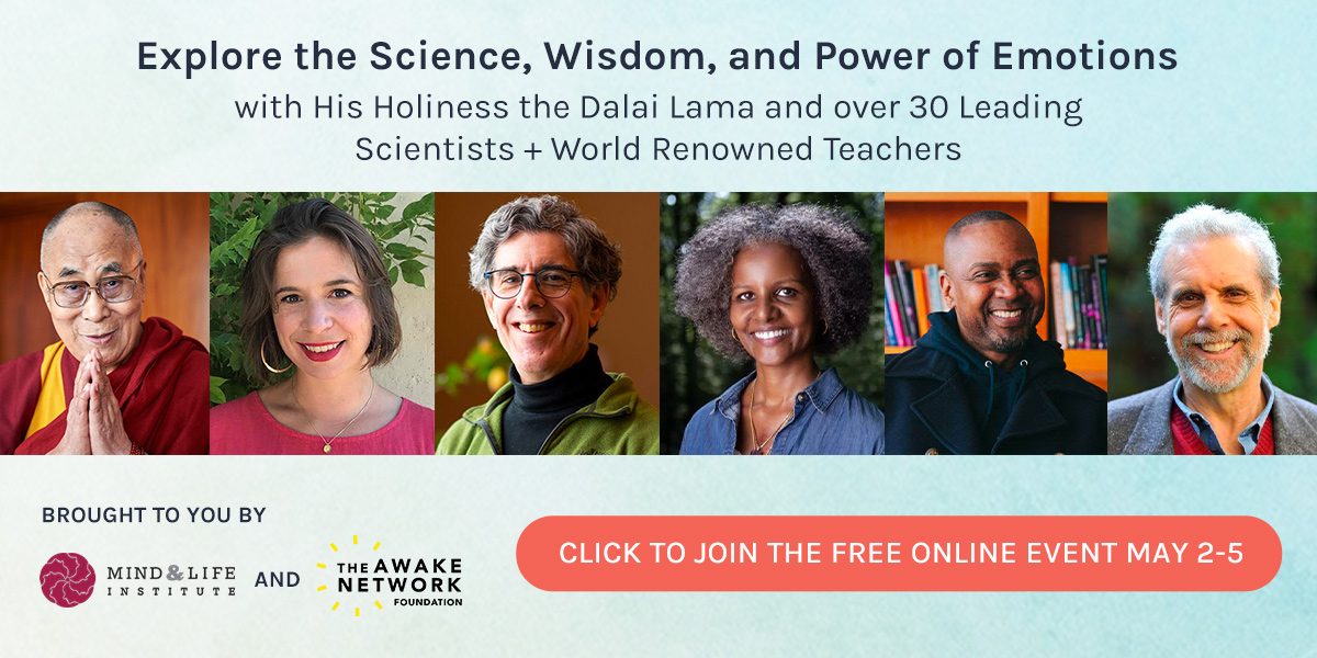 jonkabatzinn's tweet card. Insights and powerful practices to transform difficult emotions and cultivate our natural wisdom, compassion, and joy.