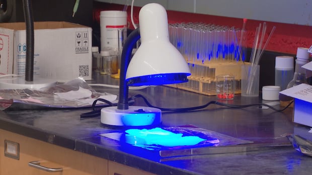 DocWeb_BC's tweet card. Researchers at the University of British Columbia have developed a fabric coating that decreases the chances of spreading bacteria and viruses. The liquid coating decreases the infectivity of the...