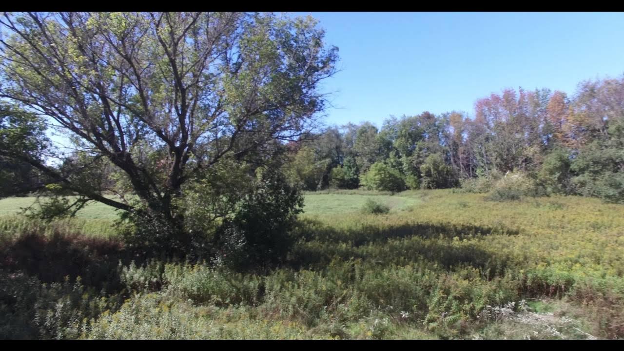 RoboTechEd's tweet card. DJI Test 3 - 4k.24 - PF Filter - DJI P3P - Rebecca