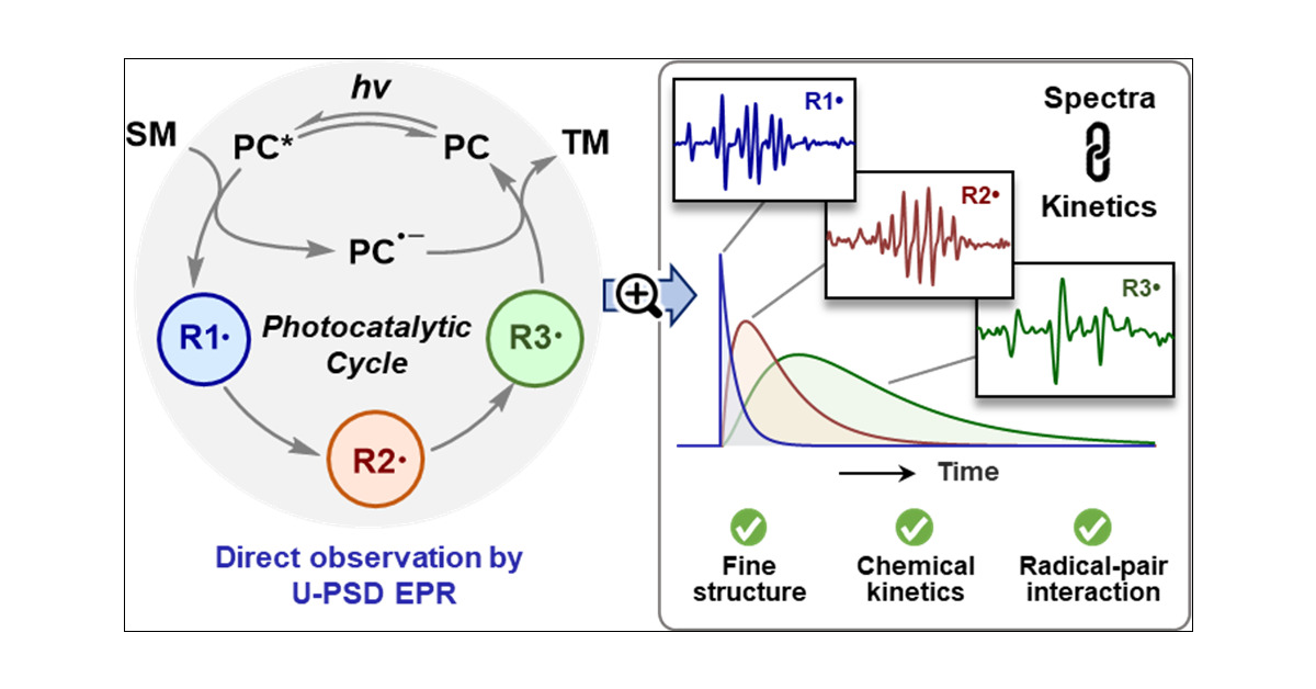 J_A_C_S's tweet card. Molecular photocatalysis has shown tremendous success in sustainable energy and chemical synthesis. However, visualizing the transient open-shell intermediates in photocatalysis is a significant and...