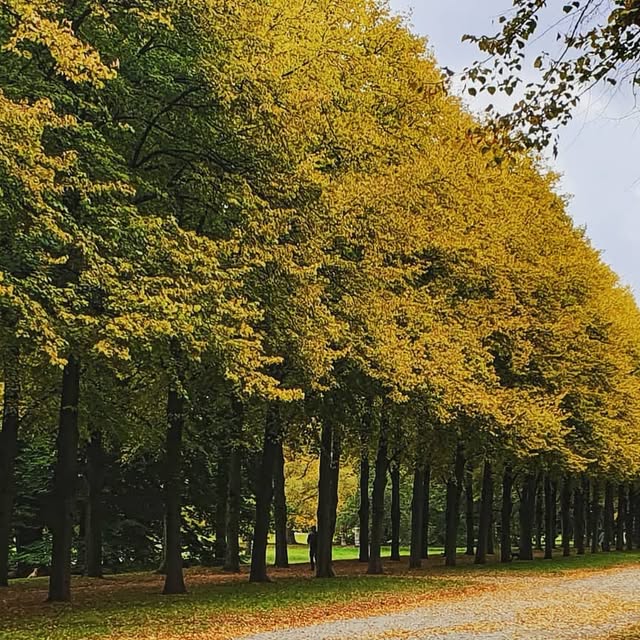 EPL_Learning's tweet card. Marc Fiedler (@einfachprogrammierenlernen) • Instagram photo