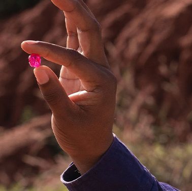 Rdiasmz's tweet card. Por Ricardo Dias Maputo (MOZTIMES) – Moçambique arrecadou cerca de 12 milhões de dólares norte-americanos em impostos no último leilão de rubis