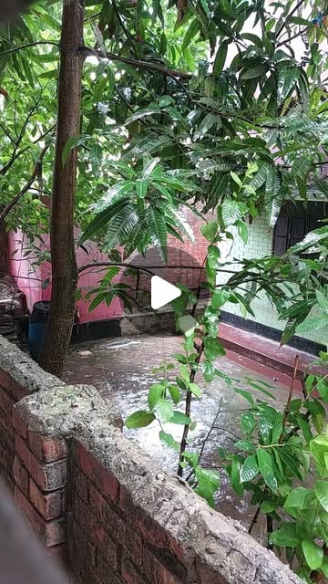 BaChowdhury3's tweet card. @bachy9158 • Instagram reel