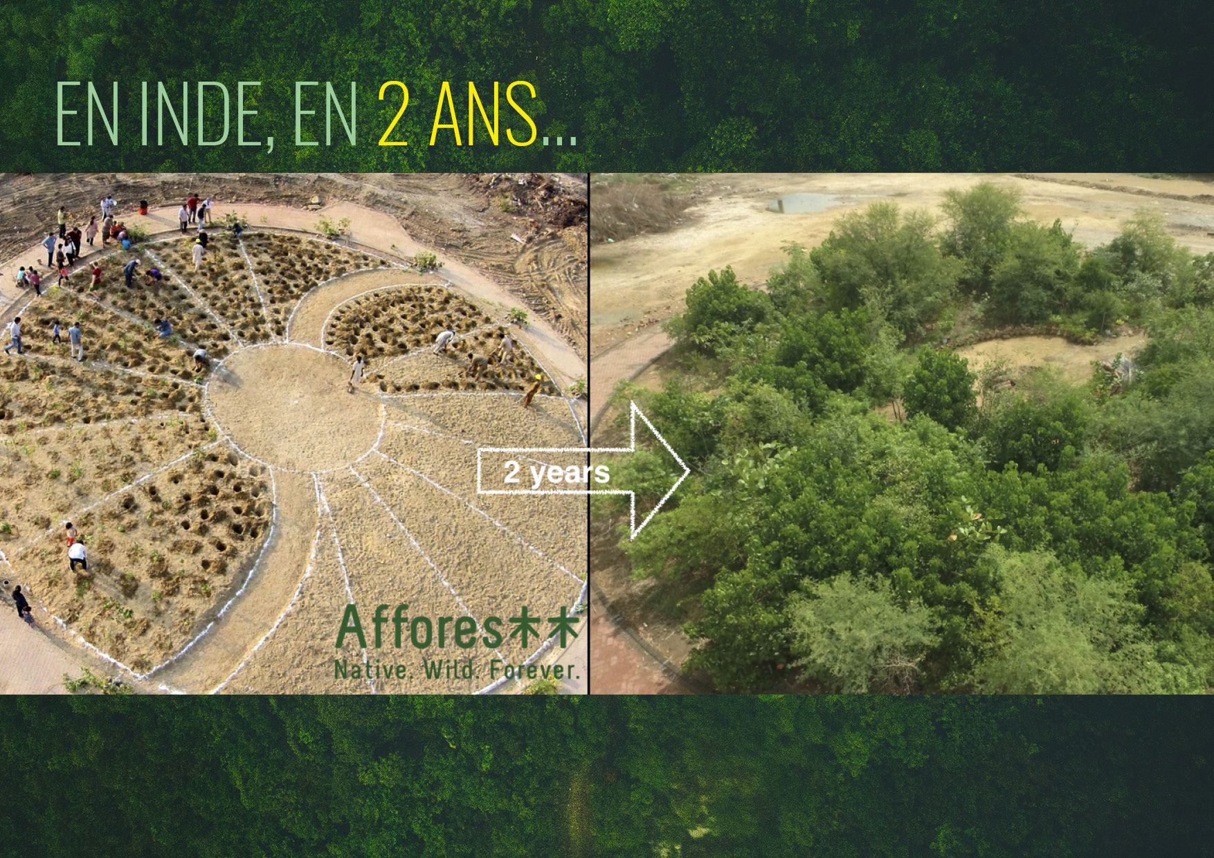 Thib_Demo's tweet card. MiniBigForest conçoit et plante des forêts urbaines avec vous !
