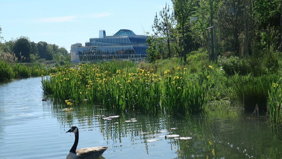 GroupePVCP's tweet card. Fermé depuis le 15 mars, le complexe de loisirs durables situé en Seine-et-Marne compte rouvrir le 12 juin au public. Une réouverture encour