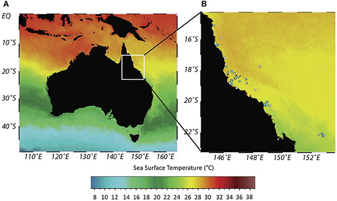 peter_ridd's tweet card. Mass coral bleaching events during the last 20 years have caused major concern over the future of coral reefs worldwide. Despite damage to key ecosystem engi...