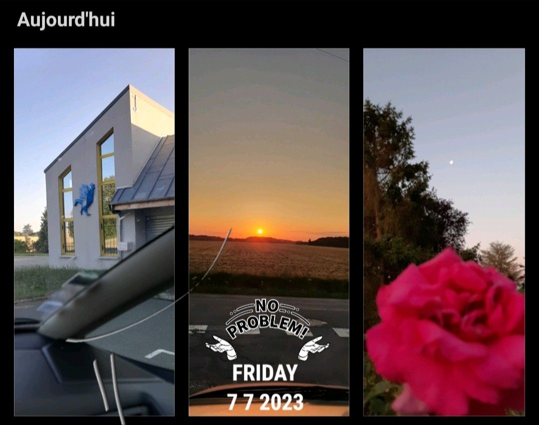 PHLEV's tweet card. C'est du #CapitalImmatériel ! la #formation !? L' #IntelligenceÉconomique est le thème de la formation que je dispenserai ce jour à l équipe. Z'avez vu le Coq 🐓 Bleu ? Quelques signes annonciateurs...