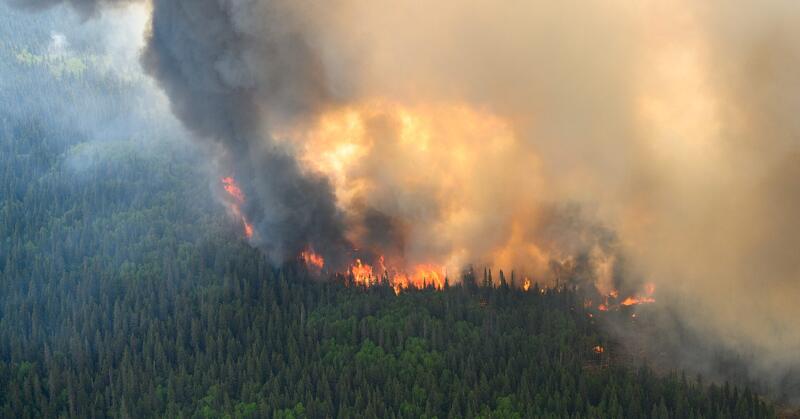 enlima's tweet card. Will we (humankind at large, I mean) still be able to find a way to accelerate a transition to a less unsustainable behaviour?