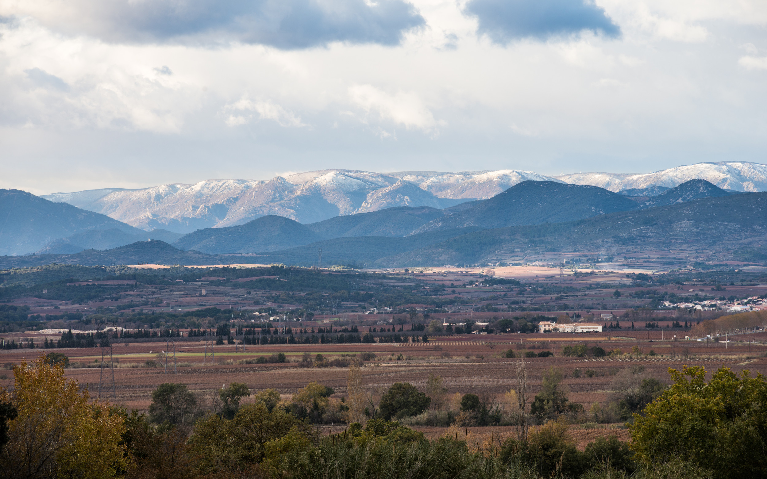 FossilCoastCo's tweet card. Sip back and discover France and explore the fossils and geodiversity of Cabrières in Hérault, France, where the Montagne Noire reveals extraordinary Ordovician fossils of the Cabrières Biota within...