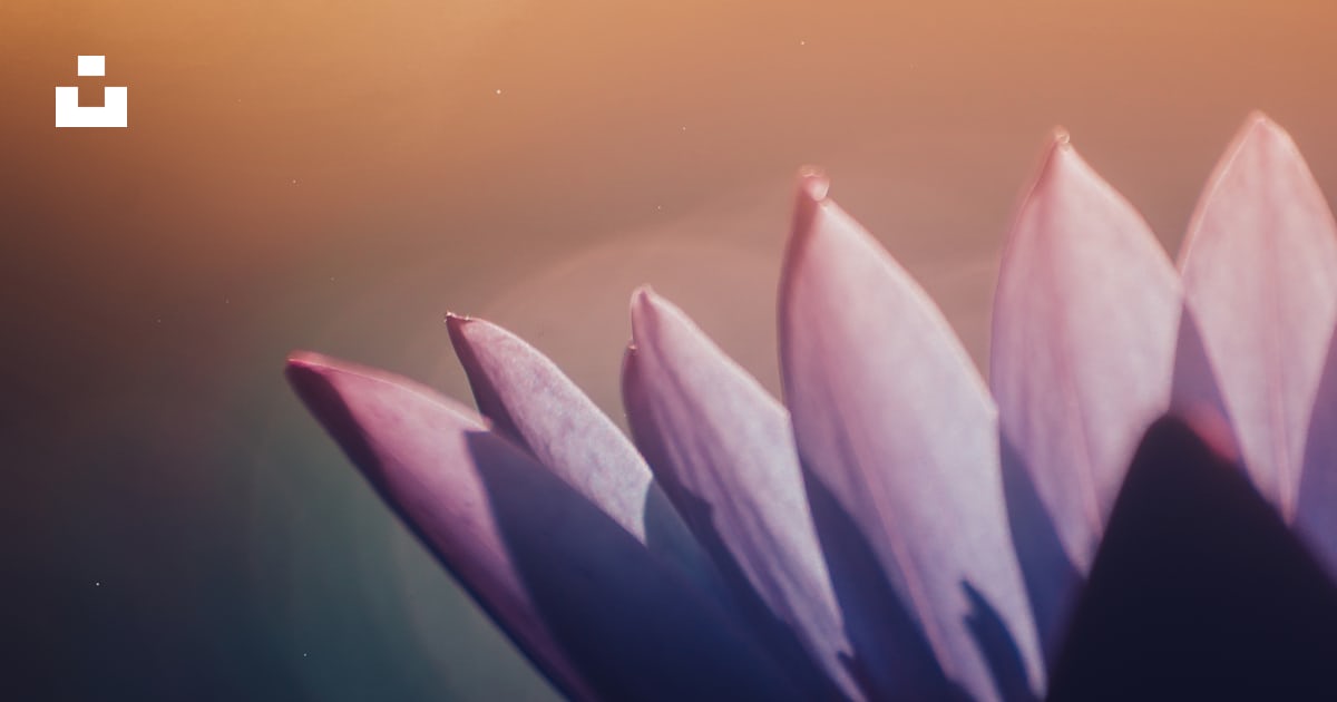 deletec1's tweet card. Spring has come. – ameenfahmyが撮影したこの写真をUnsplashでダウンロードする