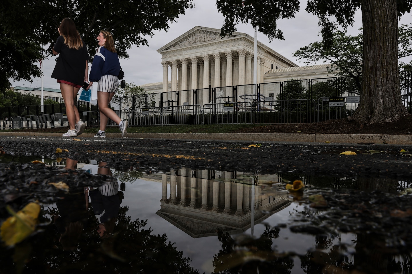Earthjustice's tweet card. Antonin Scalia might have been pleased.