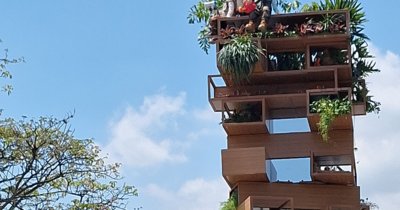 Tweet card summary image