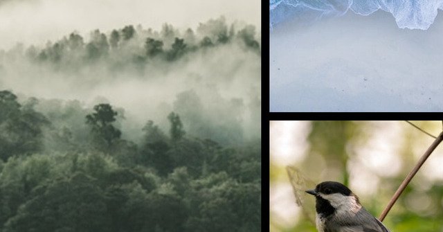 Tweet card summary image