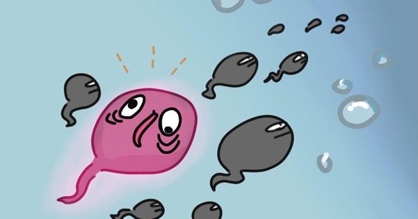 yamayama_nae's tweet card. 英国のWellcome Sanger Instituteなどに所属する研究者らは、精子の遺伝子変異を詳しく調べた研究により、父親の年齢が上がるにつれて子供に病気を引き起こす可能性のある変異が増えるという研究報告を発表した。