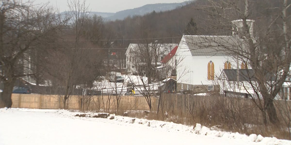 wcax's tweet card. A state panel wants to streamline ways to appeal local development and Act 250 rulings.