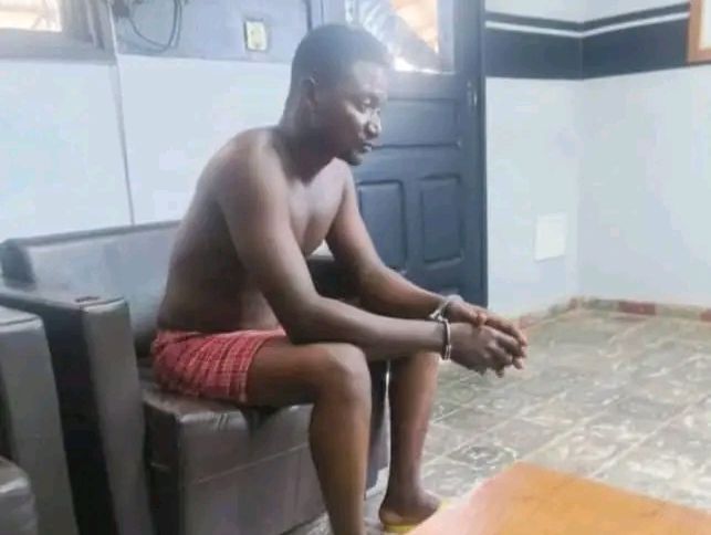 ICI1FO's tweet card. Côte d'Ivoire : Le commanditaire de l'agression des agents de la SODEFOR dans la forêt classée de la Davo mis aux arrêts 