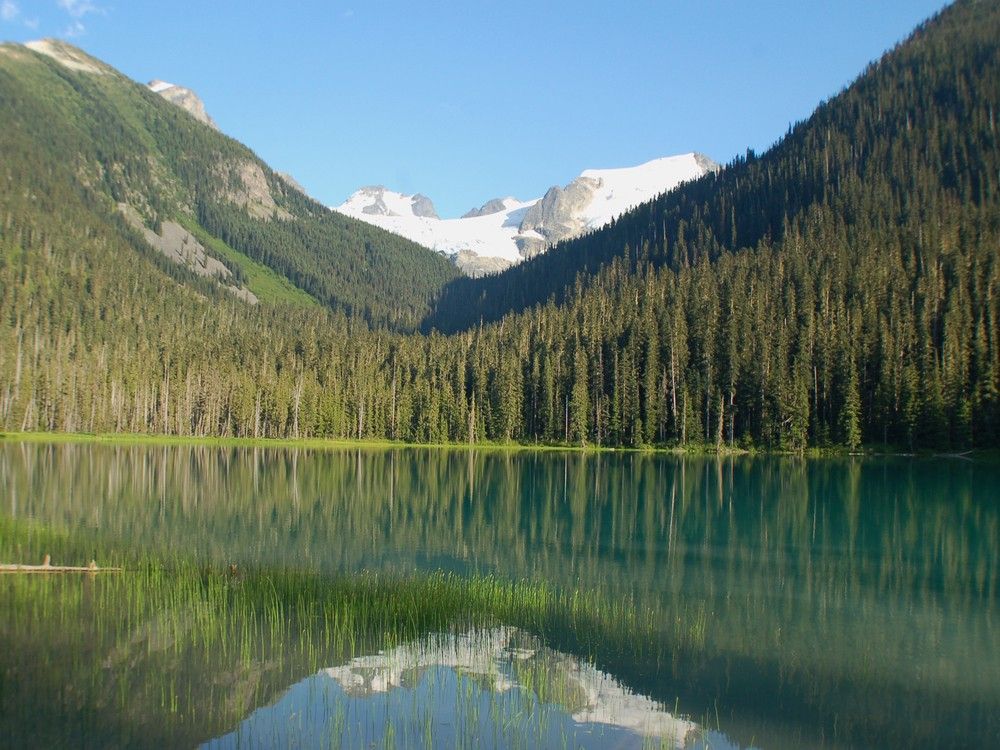 vancouvertrails's tweet card. Joffre Lakes Provincial Park to reopen next Tuesday