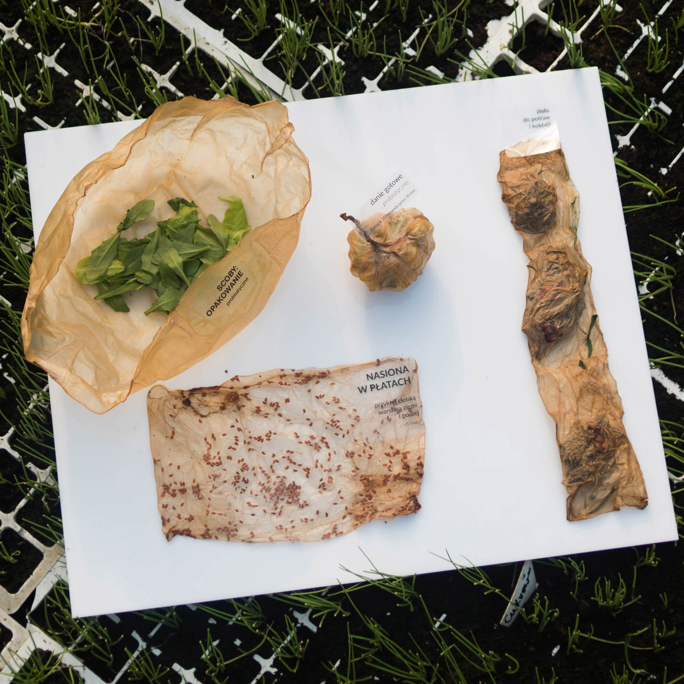 EquatorDesignIR's tweet card. Graduate Roza Janusz has created an alternative to plastic food packaging that is made from living organisms and can be decomposed at the end of its use.