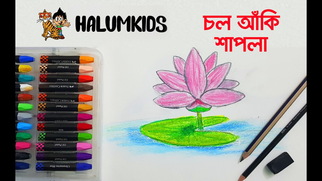 pixomizer's tweet card. How to Draw Water Lily (শাপলা ফুল) | Drawing Shapla Step by Step