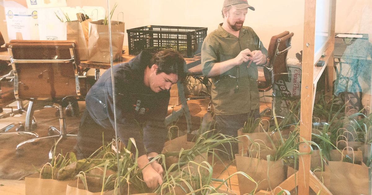 sam_poder's tweet card. An internship at Ambrook gives you real working experience on a range of projects — and an opportunity to get out of the office.