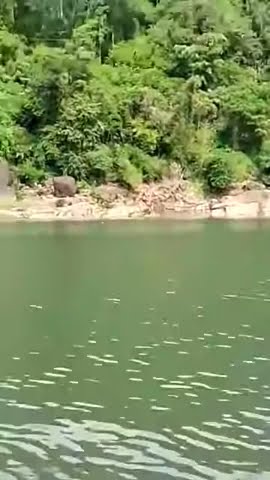 DesignstudioBd's tweet card. Mon Poboner Naw Vasailam #shorts #youtubeshorts #viralvideo #youtuber...