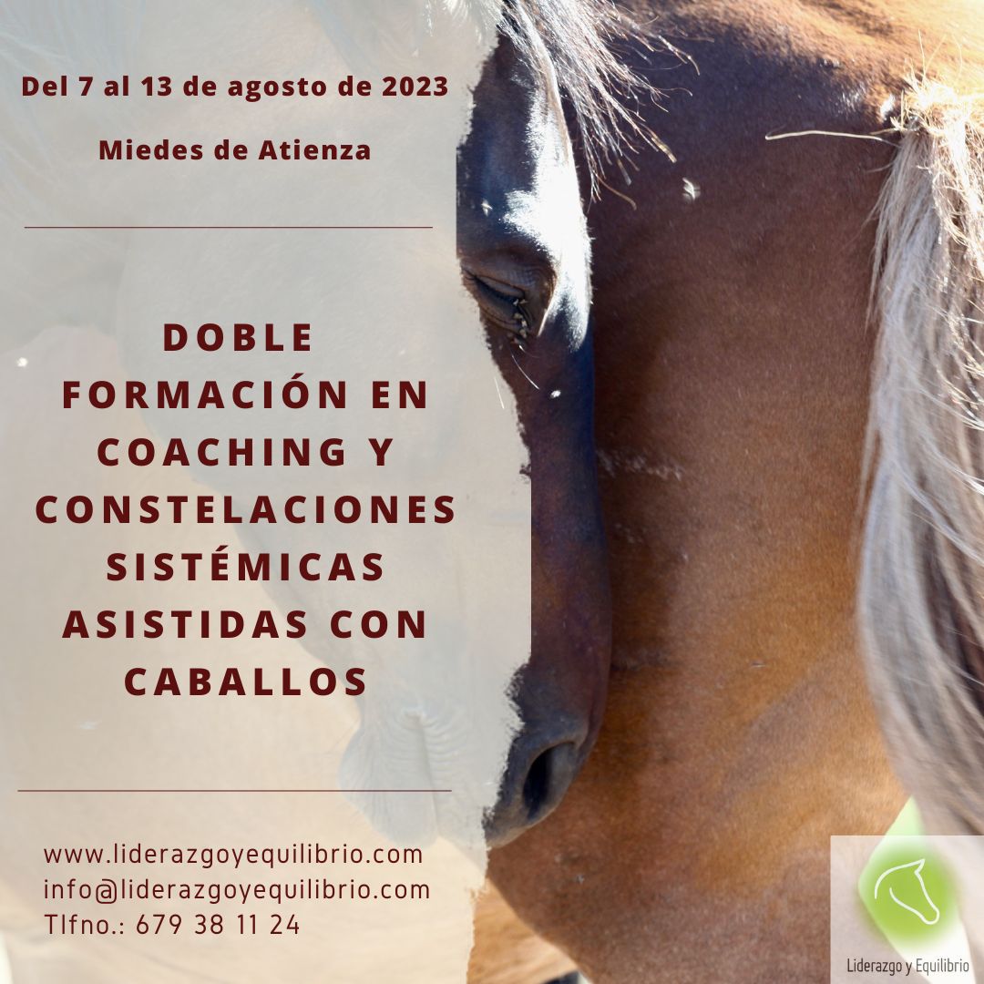 CoachLiderazgo's tweet card. Doble formación en coaching y constelaciones sistémicas asistidas con caballos Agosto 2023 Lo importante no es la cantidad sino la calidad, no estarás horas delante de una diapositiva o escuchándome...