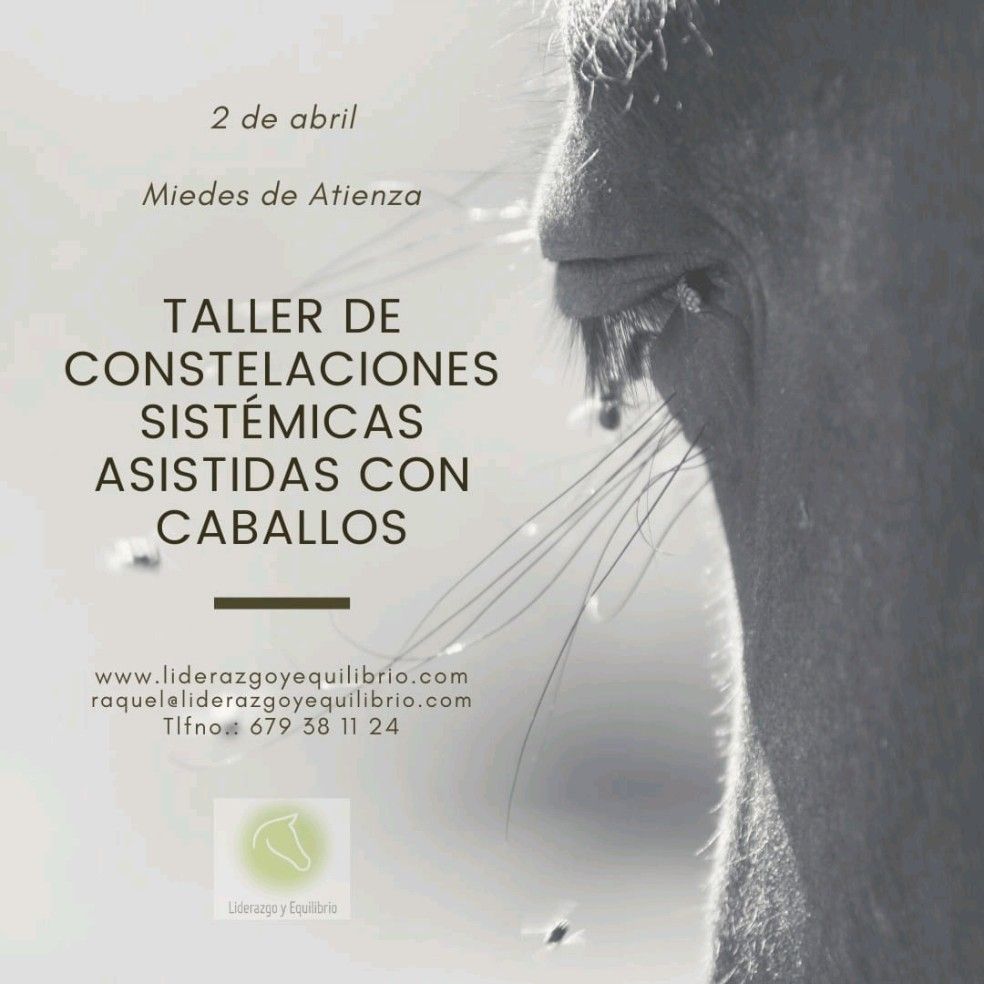 CoachLiderazgo's tweet card. “Cuando dejo ir lo que soy, me convierto en lo que podría ser. Cuando dejo ir lo que tengo, recibo lo que necesito” Lao Tzu. https://lnkd.in/eeGNqFX4 #coachingconcaballos #constelacionessistemicasa...