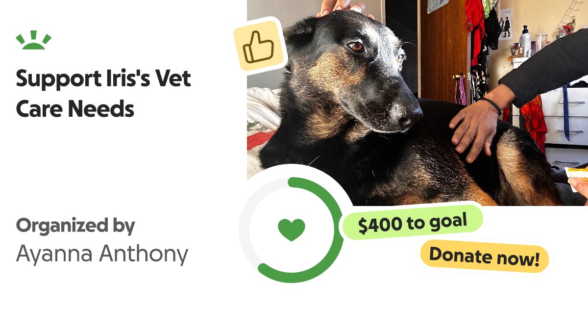 SUNSHINE_aava's tweet card. Hello everyone. i opened this GoFundMe Page because Iris was just yesterday attacked a… Ayanna Anthony needs your support for Support Iris's Vet Care Needs