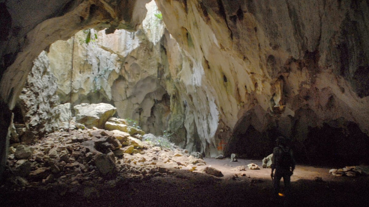 ElNuevoDia's tweet card. El debate real detrás de la Ley 111 no es técnico, sino entre planificación responsable y desregulación sostiene, David Carrasquillo