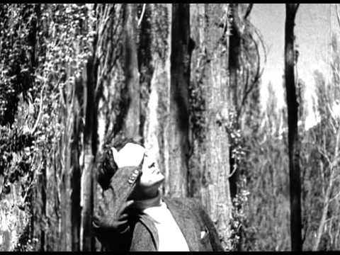 raymaxwell55's tweet card. Borderline - 1930 - Paul Robeson